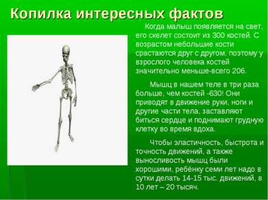 Копилка интересных фактов Когда малыш появляется на свет, его скелет состоит ...