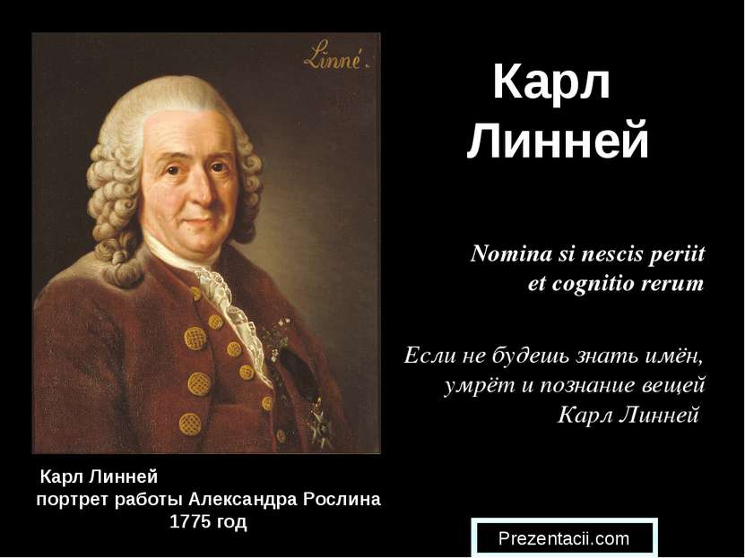 Карл Линней Карл Линней портрет работы Александра Рослина 1775 год Nomina si ...
