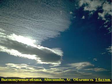 Высококучевые облака, Altocumulus, Ac. Облачность 5 баллов.
