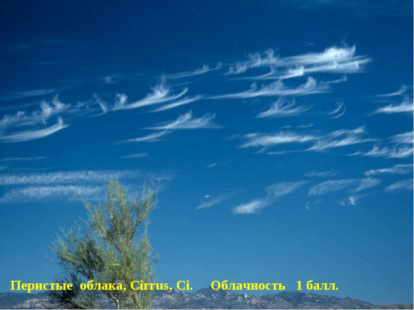 Перистые облака, Cirrus, Ci. Облачность 1 балл.