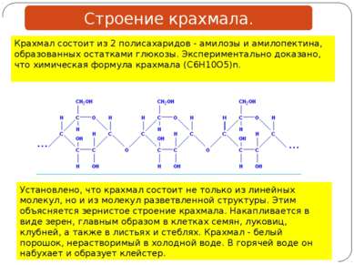 Крахмал состоит из 2 полисахаридов - амилозы и амилопектина, образованных ост...