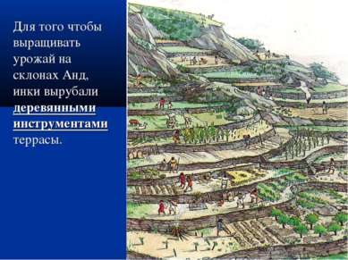 Для того чтобы выращивать урожай на склонах Анд, инки вырубали деревянными ин...