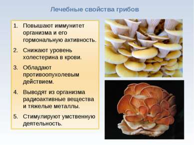 * Лечебные свойства грибов
