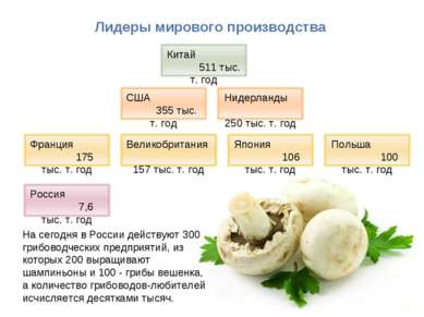 * Лидеры мирового производства На сегодня в России действуют 300 грибоводческ...