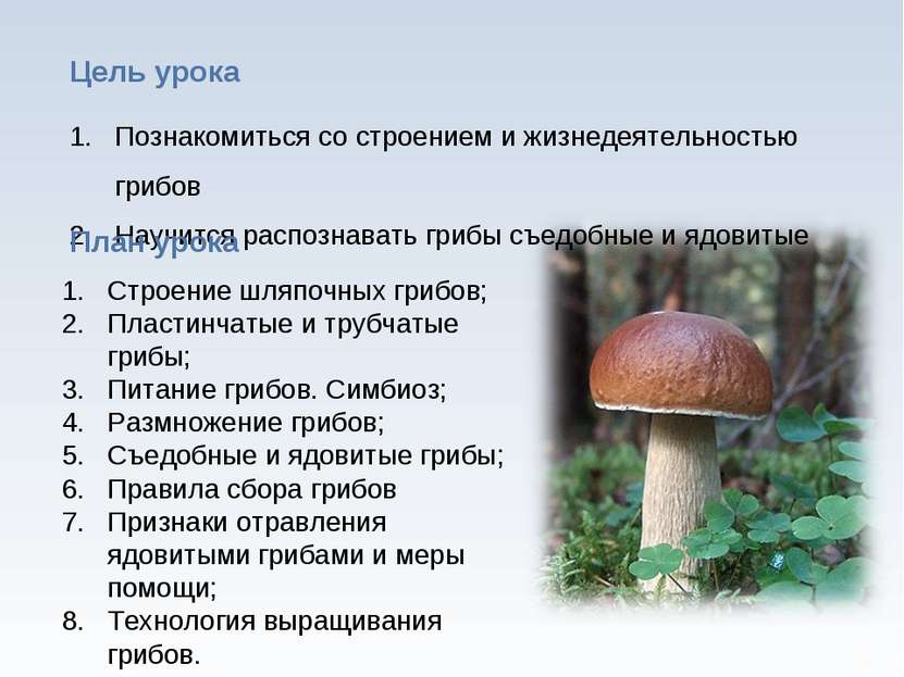 * Познакомиться со строением и жизнедеятельностью грибов Научится распознават...