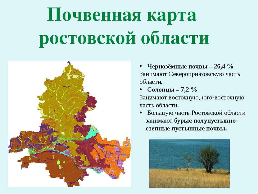 Почвенная карта ростовской области Чернозёмные почвы – 26,4 % Занимают Северо...
