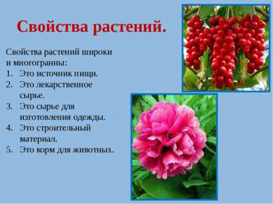 Свойства растений. Свойства растений широки и многогранны: Это источник пищи....