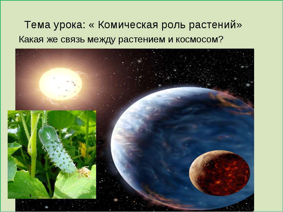 Что такое космическая роль растений