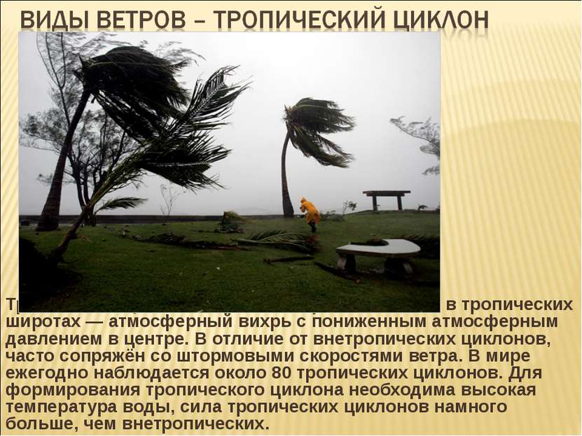 Тропический циклон — циклон, образовавшийся в тропических широтах — атмосферн...