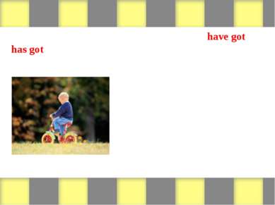 Look at the pictures and write sentences with have got or has got. Then write...