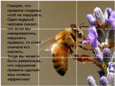 Говорят, что правила созданы чтоб их нарушать. Один мудрый человек сказал , ч...