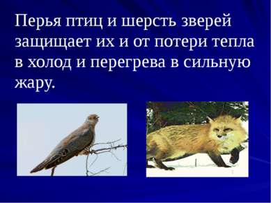 Перья птиц и шерсть зверей защищает их и от потери тепла в холод и перегрева ...