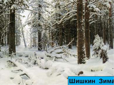 Шишкин Зима