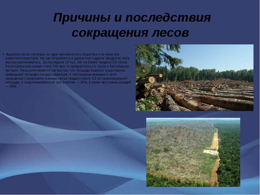 Причины и последствия сокращения лесов Вырубка лесов началась на заре человеч...