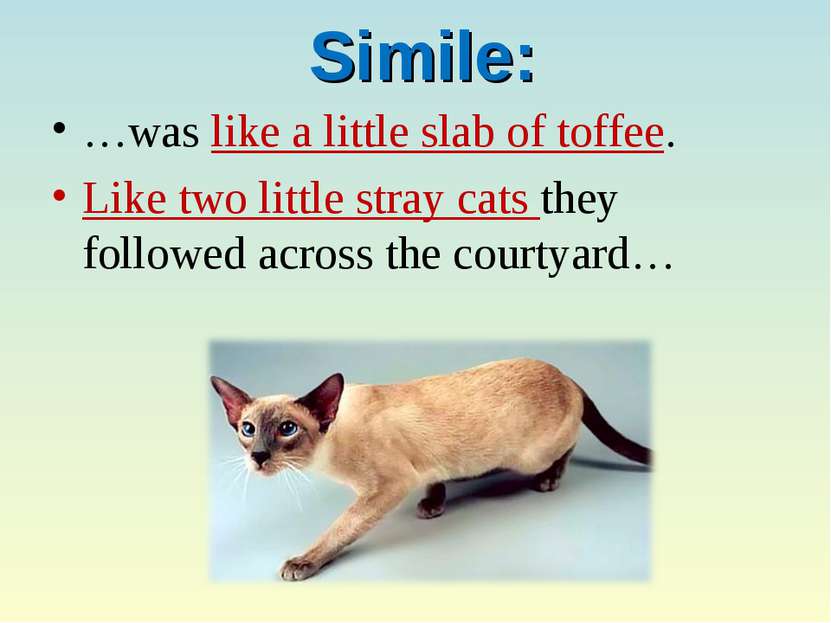 Simile: …was like a little slab of toffee. Like two little stray cats they fo...