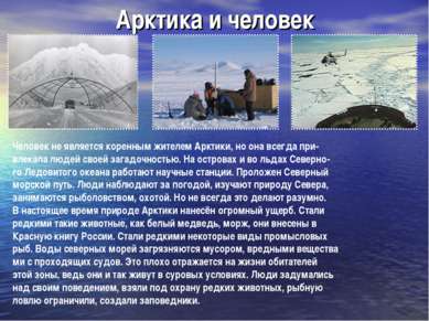 Арктика и человек Человек не является коренным жителем Арктики, но она всегда...