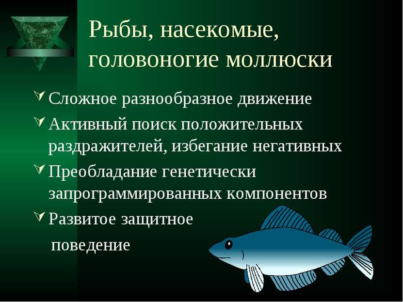 Рыбы, насекомые, головоногие моллюски Сложное разнообразное движение Активный...