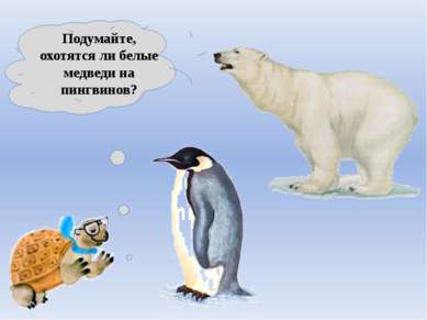 Подумайте, охотятся ли белые медведи на пингвинов?
