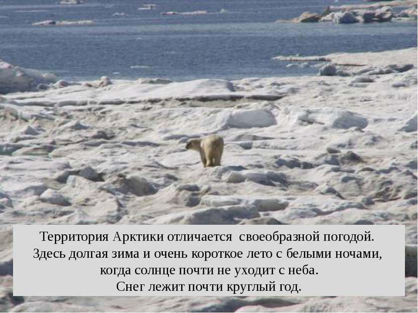 Территория Арктики отличается своеобразной погодой. Здесь долгая зима и очень...