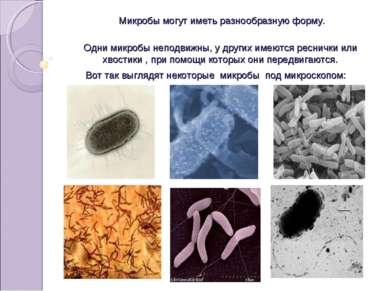 Микробы могут иметь разнообразную форму. Одни микробы неподвижны, у других им...