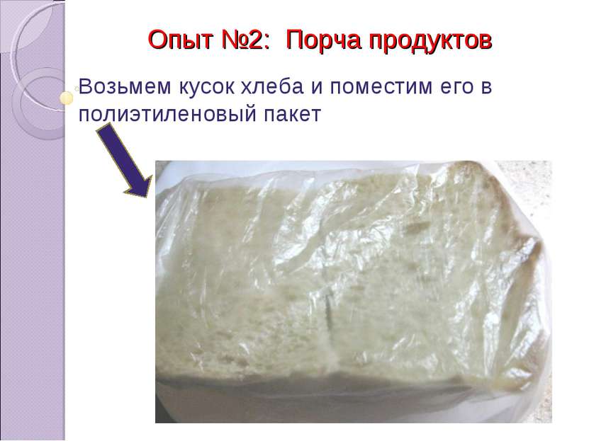 Опыт №2: Порча продуктов Возьмем кусок хлеба и поместим его в полиэтиленовый ...