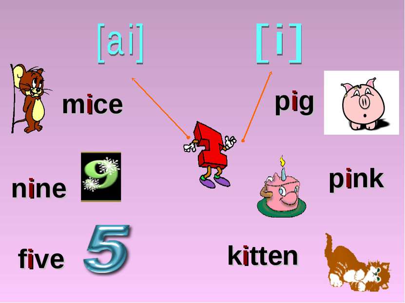five nine mice pig pink kitten