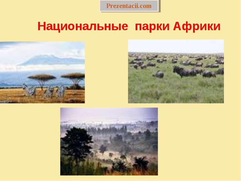 Национальные парки Африки Prezentacii.com