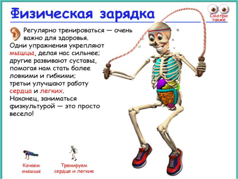 Презентация как работает наш организм 3 класс. Скелет человека строение для детей. Скелет человека презентация для детей. Как устроен твой организм. Доклад на тему организм человека.