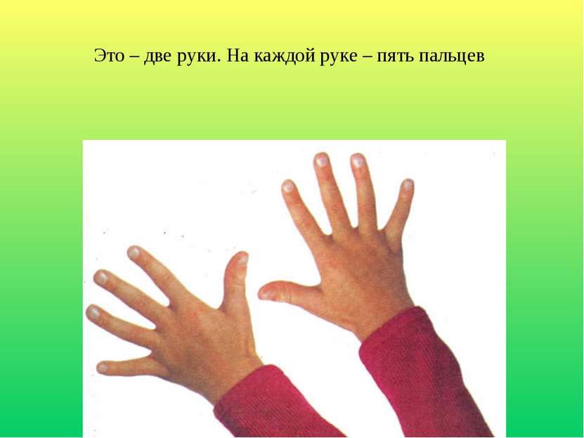 Это – две руки. На каждой руке – пять пальцев
