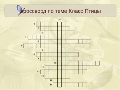 Кроссворд по теме Класс Птицы