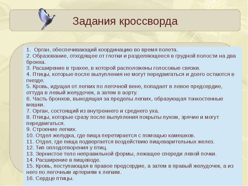 Задания кроссворда 1. Орган, обеспечивающий координацию во время полета. 2. О...