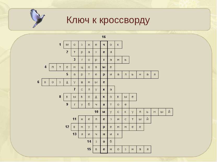 Ключ к кроссворду