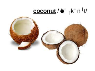 coconut /ˈkəʊkənʌt/