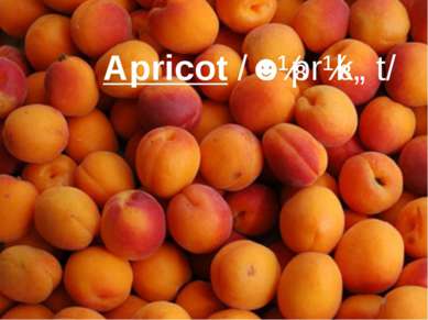Apricot /ˈeɪprɪkɒt/