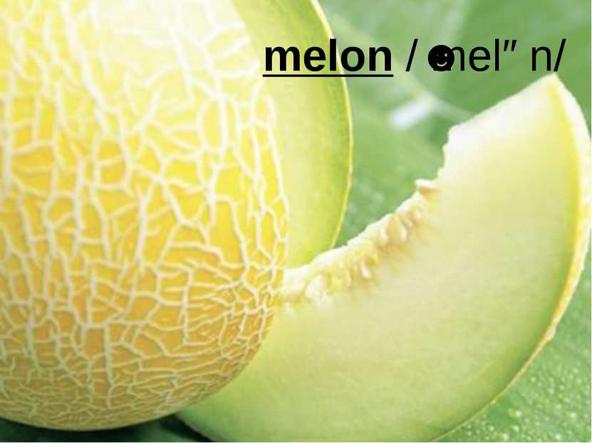 melon /ˈmelən/