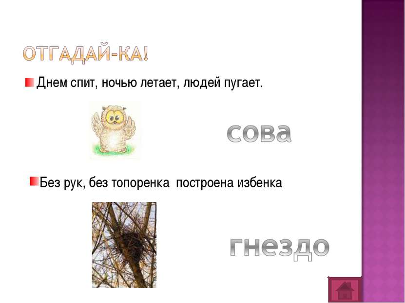 Днем спит, ночью летает, людей пугает. Без рук, без топоренка построена избенка