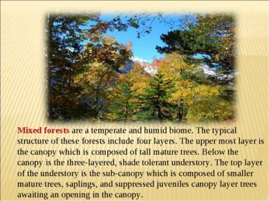Mixed forests are a temperate and humid biome. The typical structure of these...