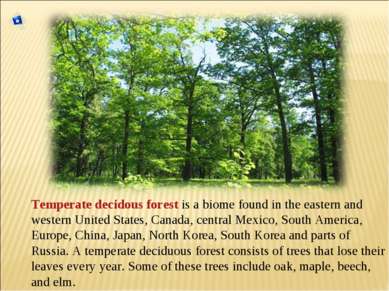 Temperate decidous forest is a biome found in the eastern and western United ...