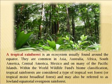 A tropical rainforest is an ecosystem usually found around the equator. They ...