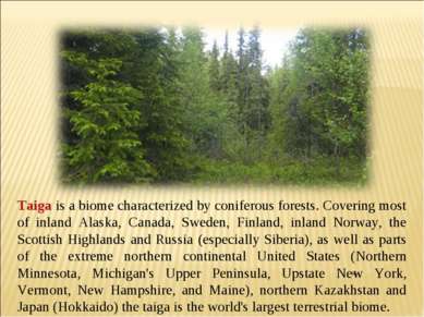 Taiga is a biome characterized by coniferous forests. Covering most of inland...