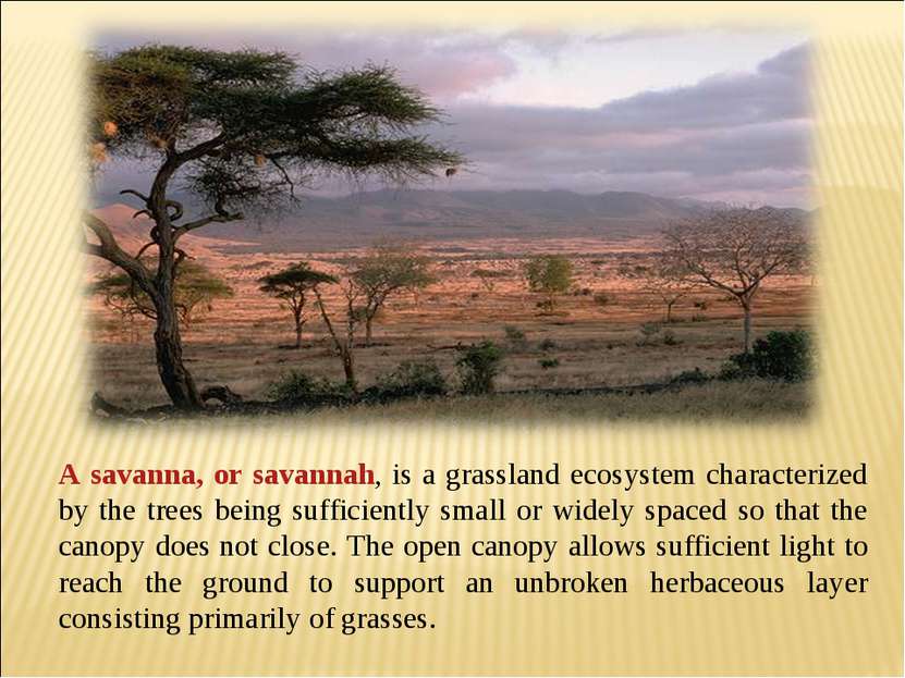 A savanna, or savannah, is a grassland ecosystem characterized by the trees b...