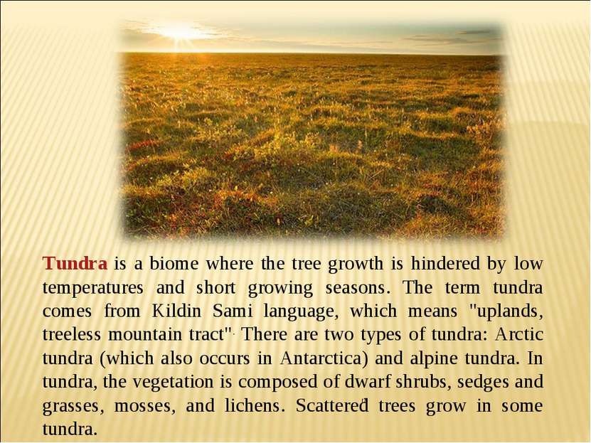   Tundra is a biome where the tree growth is hindered by low temperatures and...