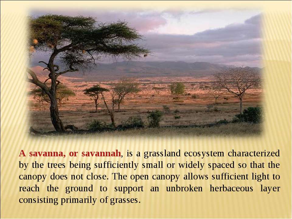Саванна это природная зона на английском. Natural zones