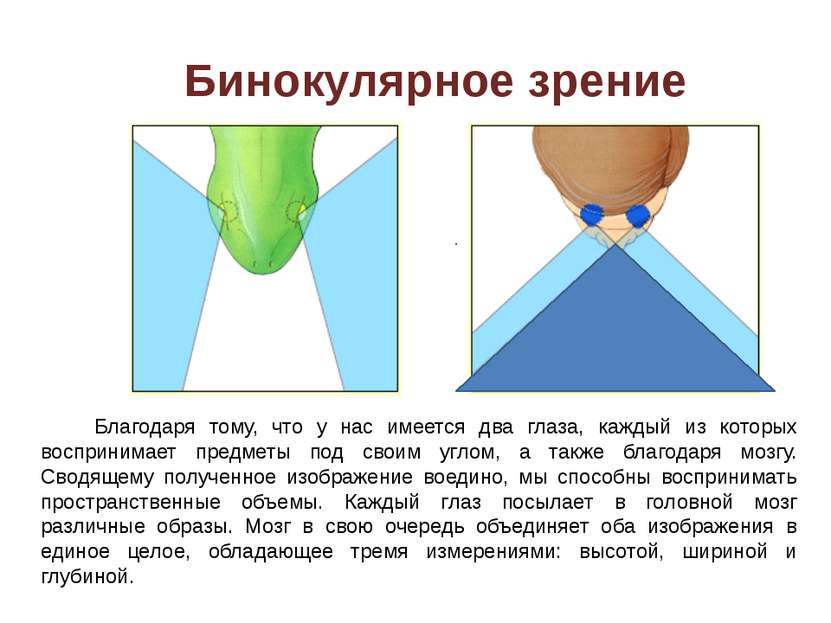 Источники материалов http://www.inauka.ru/science/article81245 http://nashol....