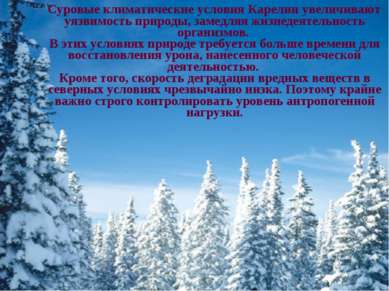 Суровые климатические условия Карелии увеличивают уязвимость природы, замедля...