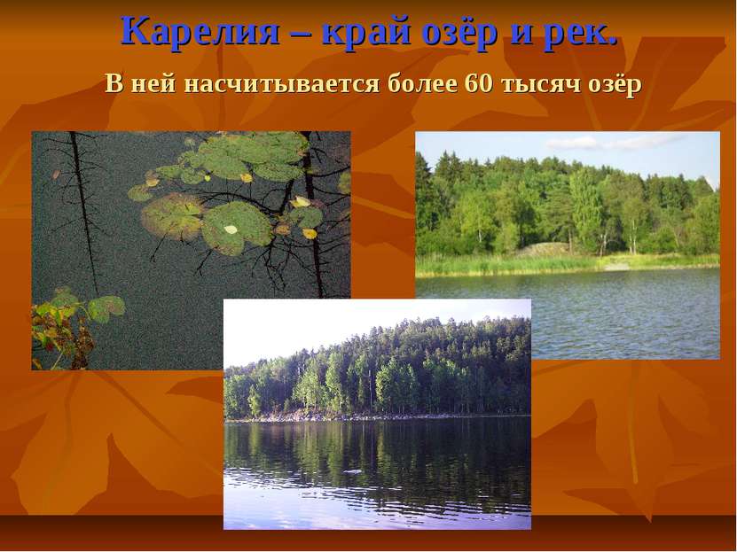 Карелия – край озёр и рек. В ней насчитывается более 60 тысяч озёр
