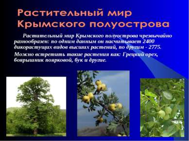 Растительный мир Крымского полуострова чрезвычайно разнообразен: по одним дан...