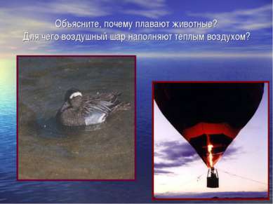 Объясните, почему плавают животные? Для чего воздушный шар наполняют теплым в...