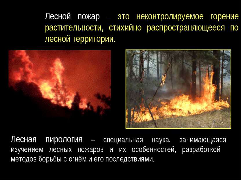 Лесной пожар – это неконтролируемое горение растительности, стихийно распрост...