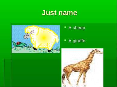 Just name A sheep A giraffe